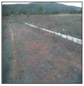 Imóvel em JATAUBA/PE