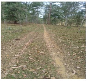 Imóvel em CATAGUASES/MG
