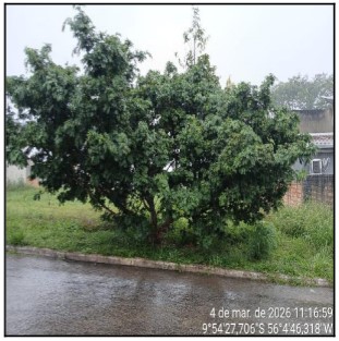 Imóvel em ALTA FLORESTA/MT