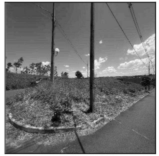 Imóvel em BRASILIA/DF