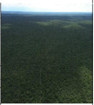 Foto de Imóvel em Brejo Do Piauí (PI)