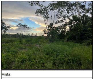 Imóvel em CAPITAO POCO/PA