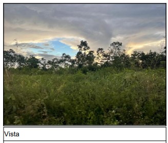 Imóvel em CAPITAO POCO/PA