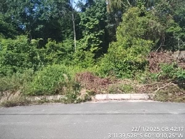 Foto de Imóvel GLEBA CACAU PIREIRA - Leilão em Iranduba/AM, 39% abaixo da avaliação