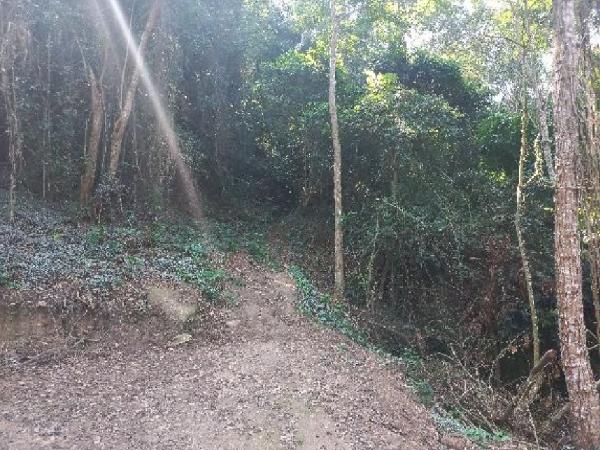 Imóvel em NITEROI/RJ