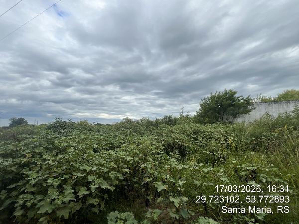 Imóvel em SANTA MARIA/RS