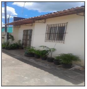 Imóvel em CHA DE ALEGRIA/PE