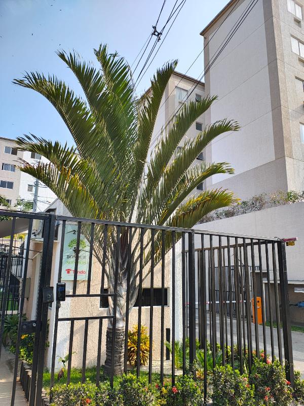 Imóvel em SAO GONCALO/RJ