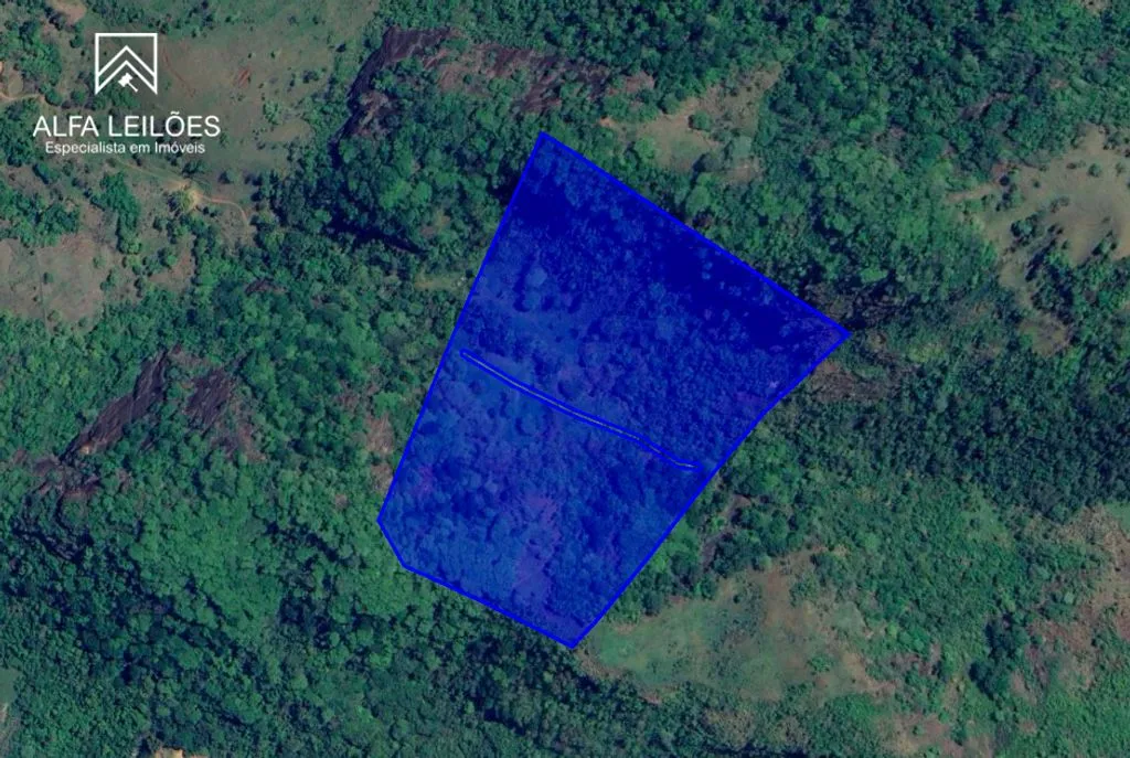 Guiricema (MG) - Sitio Grotão com 12 Hectares