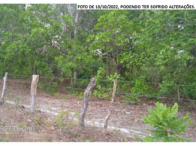 Fazenda Rio Bonito V - 253 hectares - São Desidério/BA