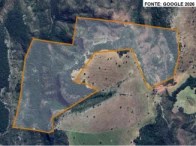 Fazenda com 111,3067 hectares - Caiapônia/GO