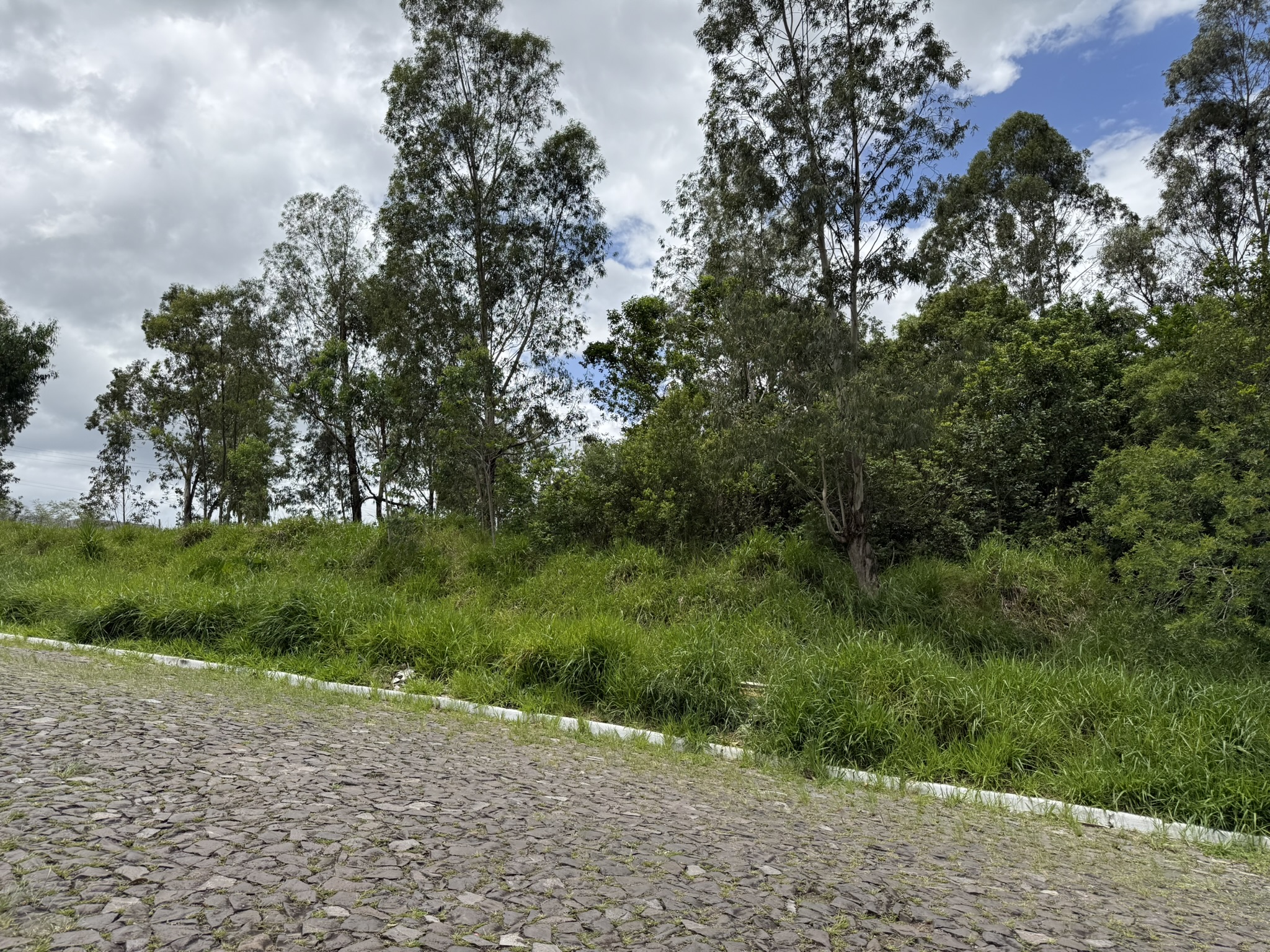 FRAÇÃO IDEAL DO IMÓVEL DE MATRÍCULA 35.303 DO REGISTRO DE IMÓVEIS DE SAPIRANGA, RS, EQUIVALENTE A 2.190M2, DE UM TODO MAIOR DE 4.968,50M2.
