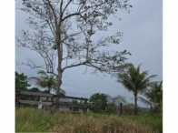 Sítio c/ 99,0133 ha - Chupinguaia/RO