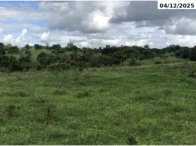 Chácara - 4,91 hectares - Colorado do Oeste/RO