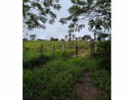 50% de Chácara c/ 2,1165 ha (área total) - Lagoa Seca/PB