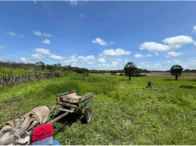 Sítio c/ 61,4 hectares - Quixadá/CE