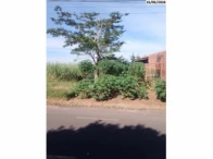 Terreno c/ 250m² - Catanduva/SP
