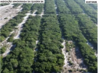 UNIFICADO - LOTES 72 AO 94
