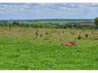 Sítio c/ 37,47,04 ha - Casa - São Francisco de Sales/MG