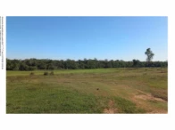 Fazenda c/ 304 ha. e 290ms2 - Caracol/MS