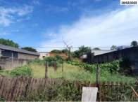 Terreno c/ 336m² - Ribeirão Preto/SP