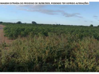 Fazenda c/ 240 ha - Araripina/PE
