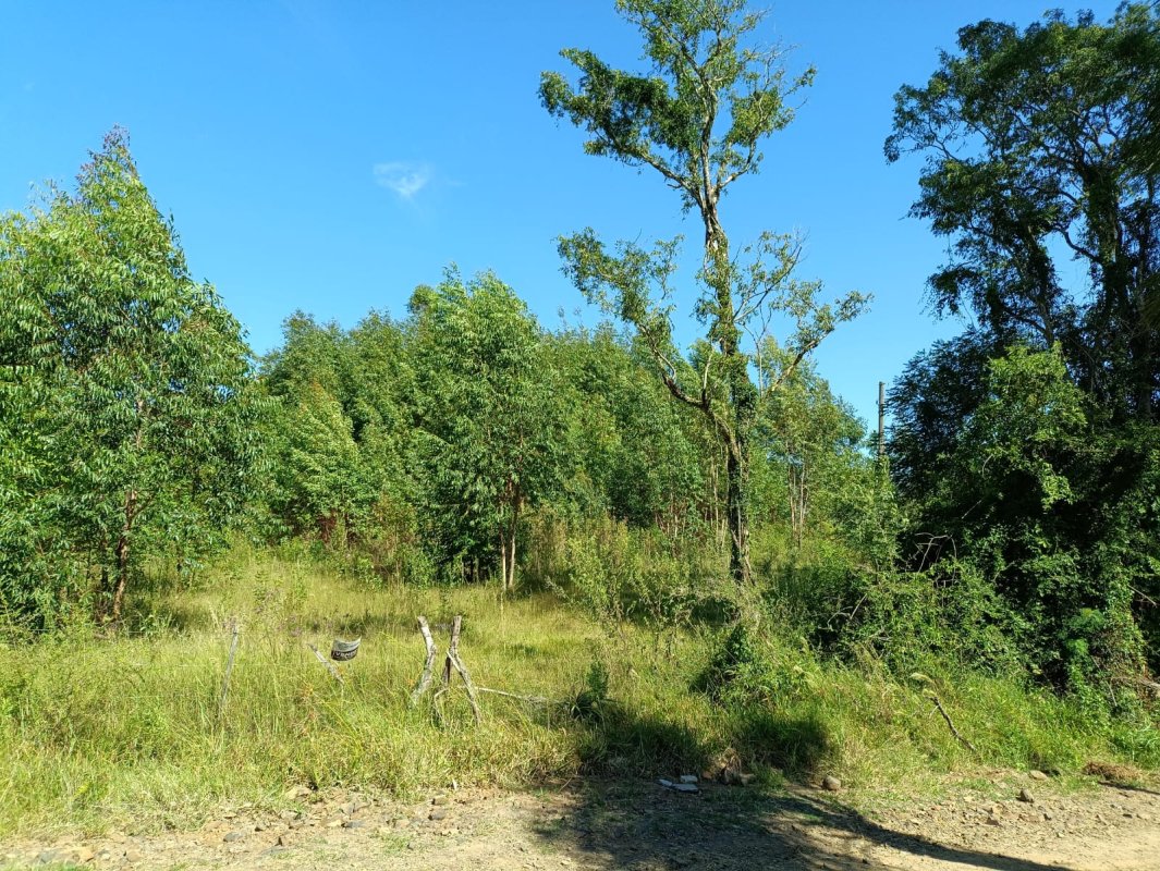 Uma fração ideal de 0,8228ha, ou seja, 8.228m² de propriedade de Renato Pivetta (R.9), no município de Formigueiro, lugar denominado Colonia da Arroeira, com a área superficial de 14ha81a04ca. Matriculada sob n°330 do CRI de São Sepé/RS. Coproprietários: Valdiocir José Pivetta, Alderi Batista Pivetta, Lourdes Leoniz Pivetta Martins.