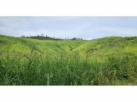 Sítio c/ 48,40 ha - Ituêta/MG