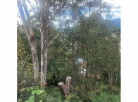 Terreno c/ aprox. 387,00m² - Poços de Caldas/MG