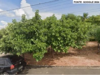 Terreno c/ 495m² - Junqueirópolis/SP
