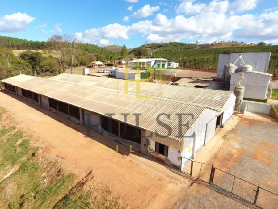 Piumhi(MG) - fazenda com 29,33,50 ha