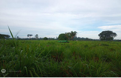 IMÓVEL RURAL Sítio L & B | A.T. 36,30 HA | NOVA BANDEIRANTES /MT