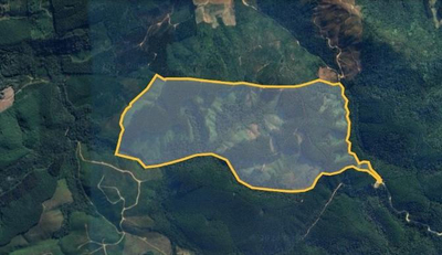 FAZENDA DE 60 ALQUEIRES COM FLORESTA DE EUCALIPTO E PINUS EM TUNAS DO PARANÁ - PR