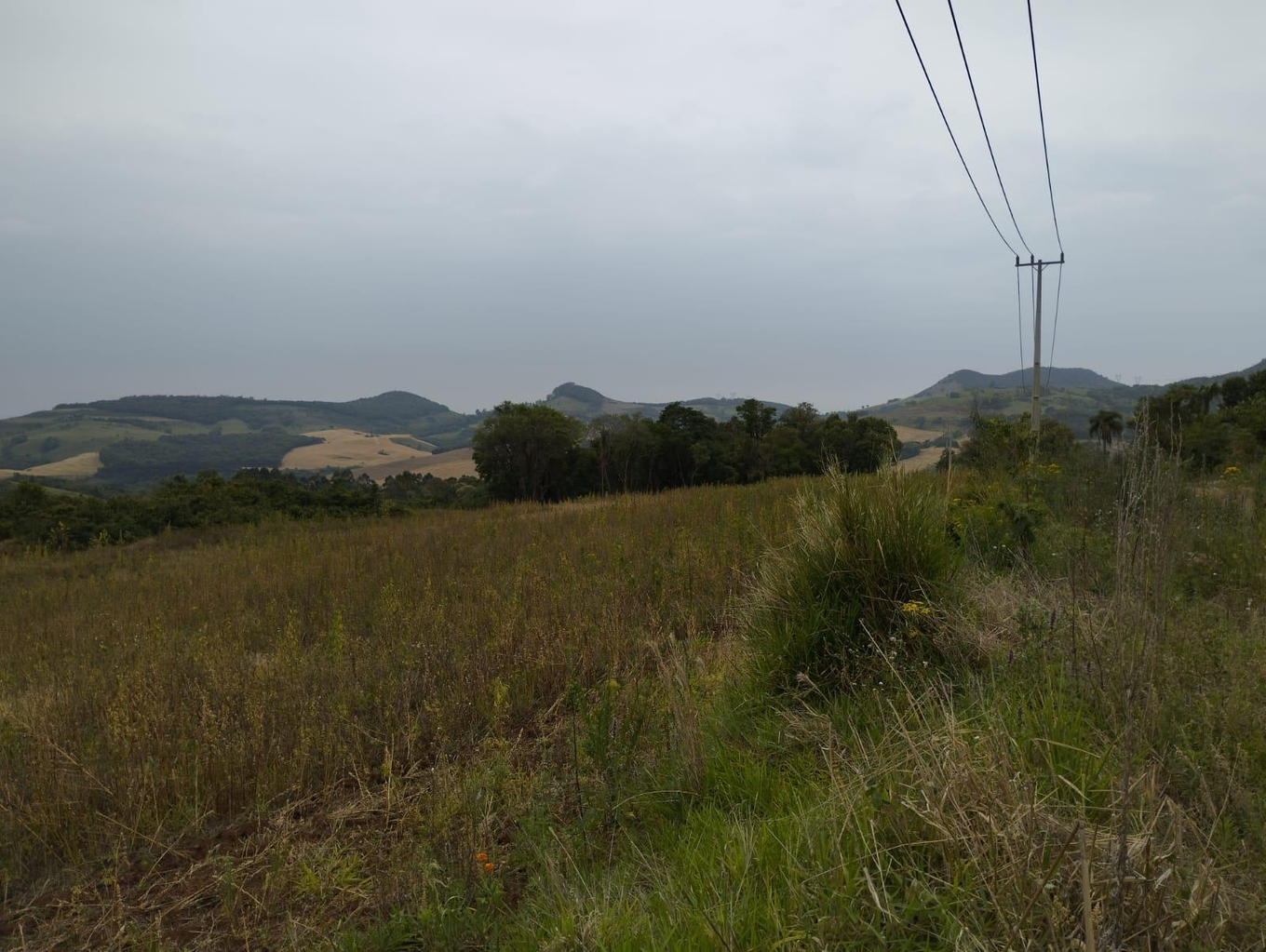 TERRENO RURAL MEDINDO 50,6011 HECTARES (20,91 ALQUEIRES) - PITANGA-PR