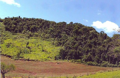 LOTE DE TERRAS COM 10,8963 HECTARES - MANOEL RIBAS/PR