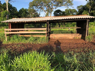 IMÓVEL RURAL | A.T. 51,1094 HA | SETOR RIO BRANCO - SÍTIO NOSSA SENHORA APARECIDA | ALTA FLORESTA DO OESTE/RO