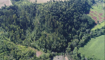 LOTE RURAL | A.T. 63.600 M² | SEM BENFEITORIAS | DISTRITO DE TIRADENTES | TRÊS PASSOS/RS