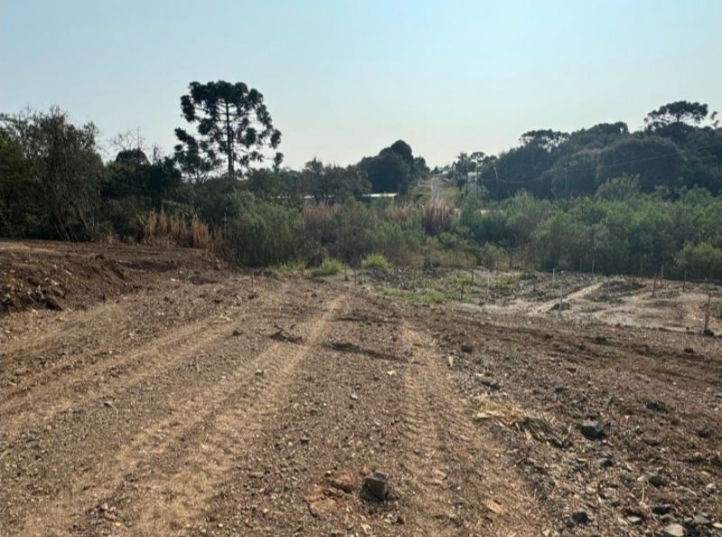 1/3 de Terreno Urbano, Santa Cecília - SC