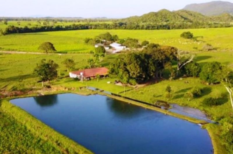 1 TERRENO RURAL COM ÁREA DE 56.086,60M²