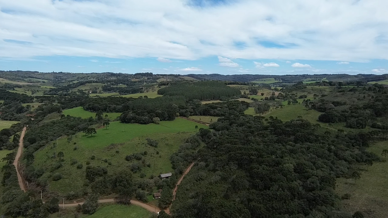 Leilão rural