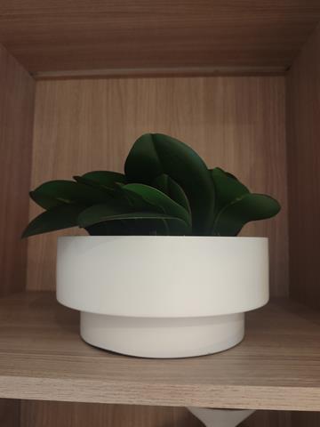EXCLUSIVO PARA FUNCIONÁRIOS - LEILÃO BENS DE APARTAMENTO DECORADO MITRE SHOWROOM REF 33