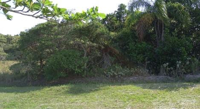 Lote 250m² na Ilha Comprida/SP
