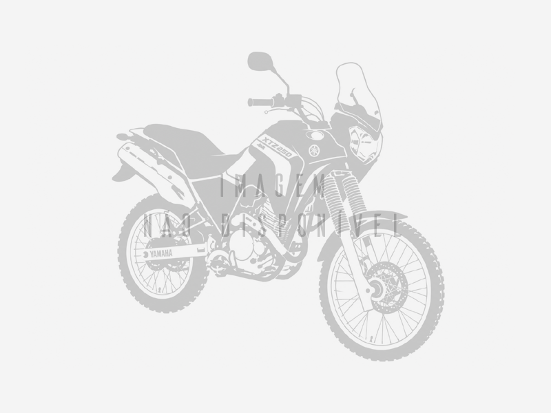 VENDA DIRETA DE UMA YAMAHA/XTZ250 TENERE. - Daniel Lazownik Duarte - Leiloeiro Oficial