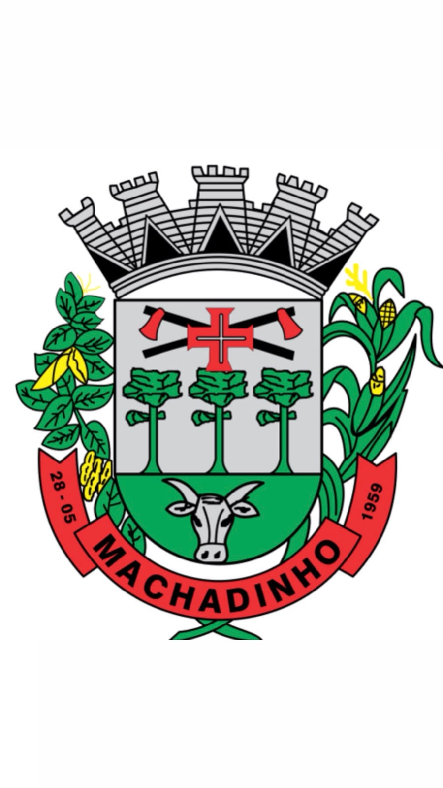 LEILÃO DE VEÍCULOS, MÁQUINAS, EQUIPAMENTOS E SUCATAS DA PREFEITURA DE MACHADINHO/RS - Roberta Zago Leilões