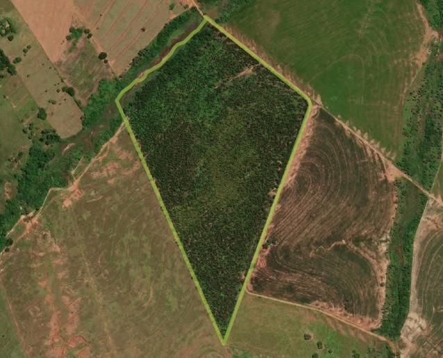 VARGAS & PINTO LEILÕES | Leilão RURAL EM UMUARAMA PR