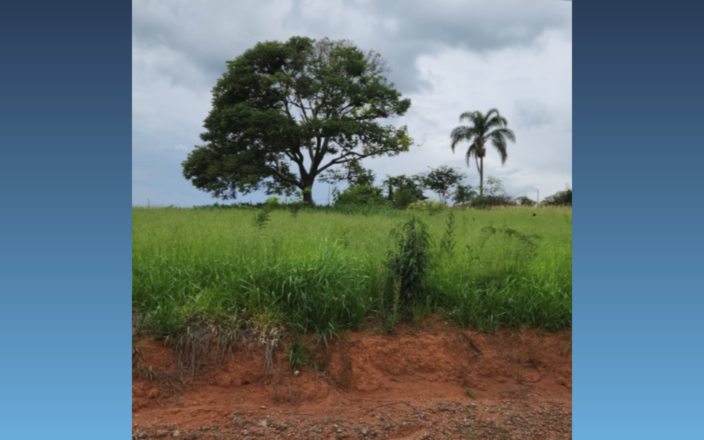 Terreno 1.000m² — Carmópolis de Minas/MGDescriçãoDetalhes do ImóvelTipo:ruralSituação:ocupadoMatrícula:3322Comitente:ESTOQUE - SICOOB COPERMEC