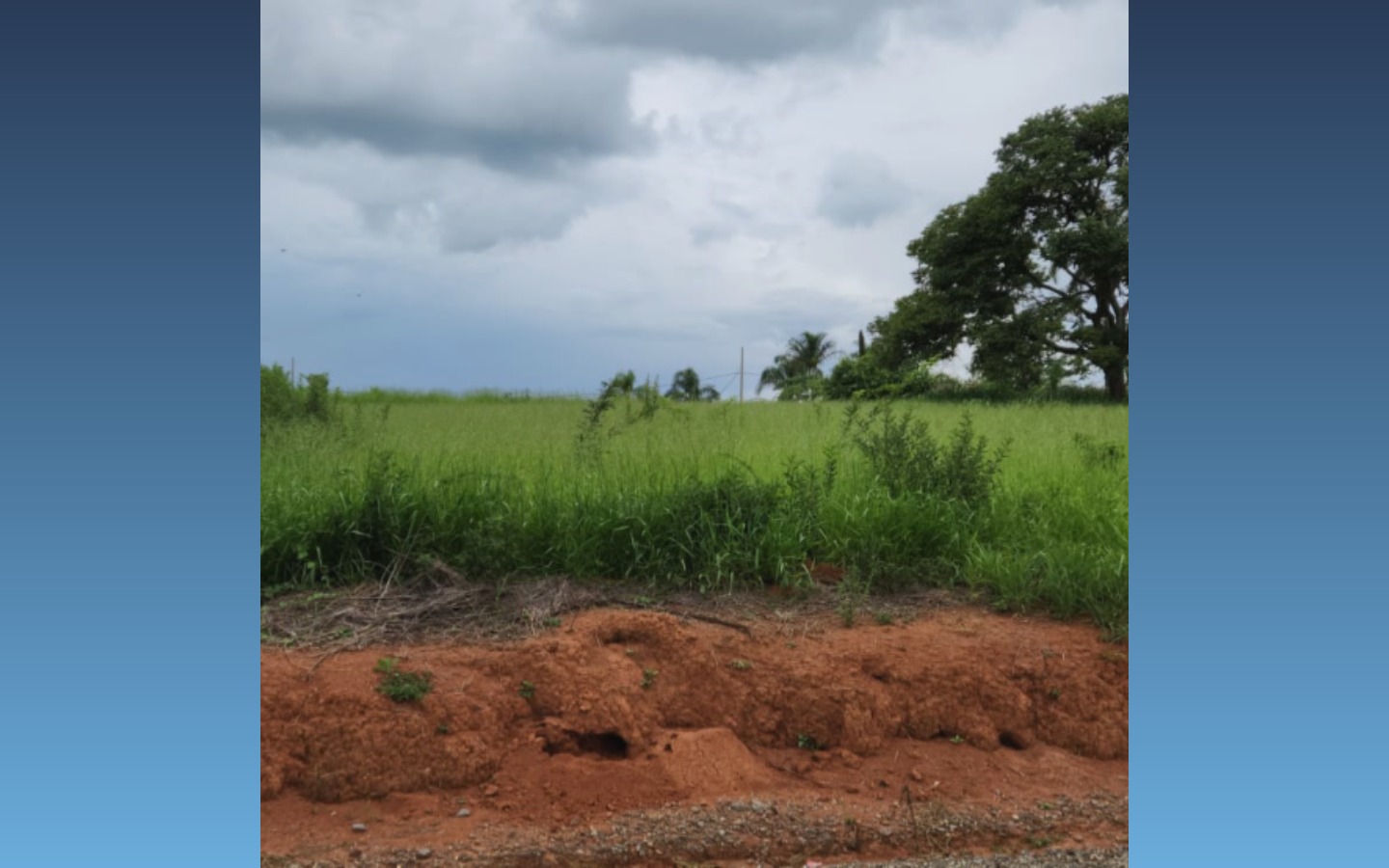 Terreno 1.000m² — Carmópolis de Minas/MGDescriçãoLOTE 06, DA QUADRA 04, COM A ÁREA DE 1.000,00M² (UM MIL METROS QUADRADOS), SITUADO NA ALAMEDA DO JACARANDÁ, NO LOTEAMENTO RESIDENCIAL ECOLÓGICO CAMPO D