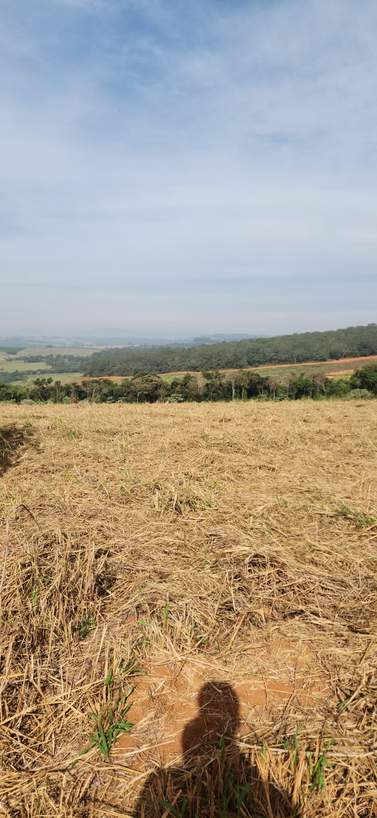Terreno rural de 48.520m² — Boa Esperança/MGDescriçãoUMA GLEBA DE TERRAS DE CERRADO COM ÁREA DE 04,85,20HAS, SITUADA NO LUGAR DENOMINADO SÍTIO BARRO VERMELHO, SITUADA EM BOA ESPERANÇA/MG. Registrado s