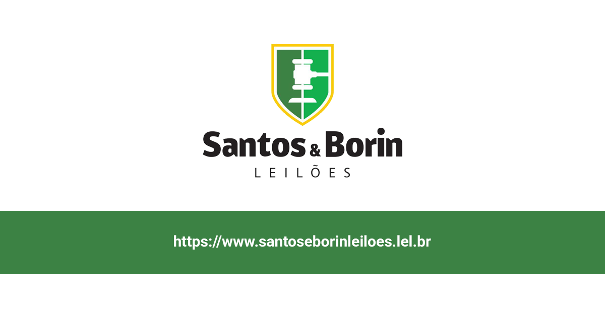 Santos & Borin Leilões