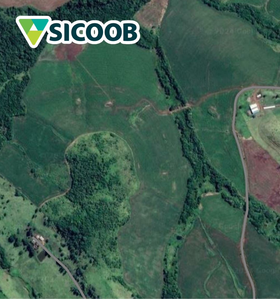 AREA RURAL, SÍTIO DE 10 ALQUEIRES EM URAÍ PR SEM BENFEITORIAS,   LAVOURA DE SOJA E MILHO PLANTA 8 ALQUEIRES. - JAC Leilões | Site do leiloeiro oficial de Cascavel/PR - Jefferson Adriano Costa